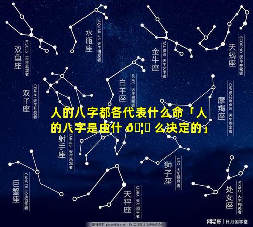 人的八字都各代表什么命「人的八字是由什 🦟 么决定的」